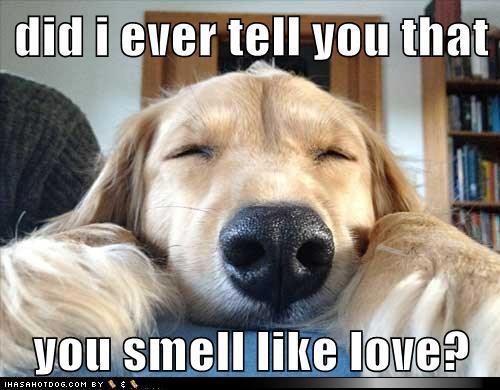 you smell like love