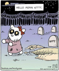 Halloween hello kitty